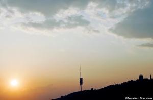 Francisco Goncalves Photo