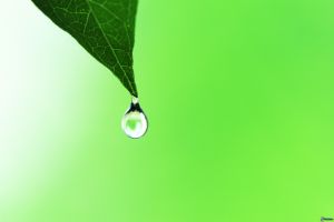goccia,-foglia-149801