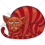 red-cat