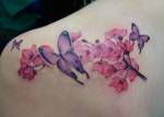 Tatuaggio-fiori-di-ciliegio-con-farfalle-immagine-e1401707583855